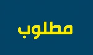 موقع يافا اليوم  - مطلوب للمركز العربي اليهودي مرشد غرفة الجمبوري لساعات ما بعد الظهر